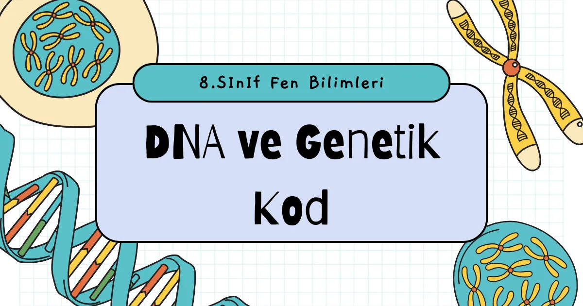 DNA ve Genetik Kod Testi