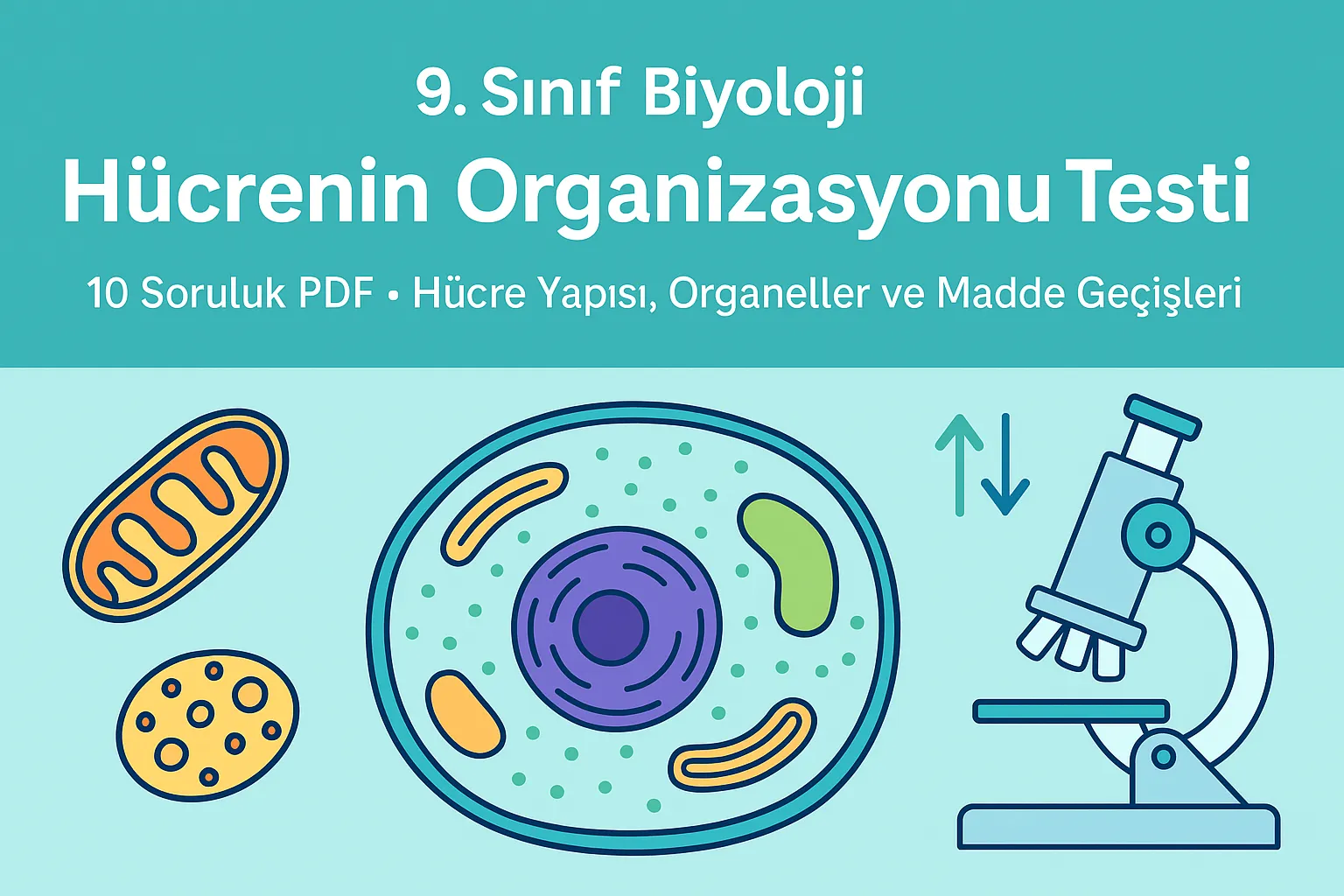 Biyoloji Hücrenin Organizasyonu Testi