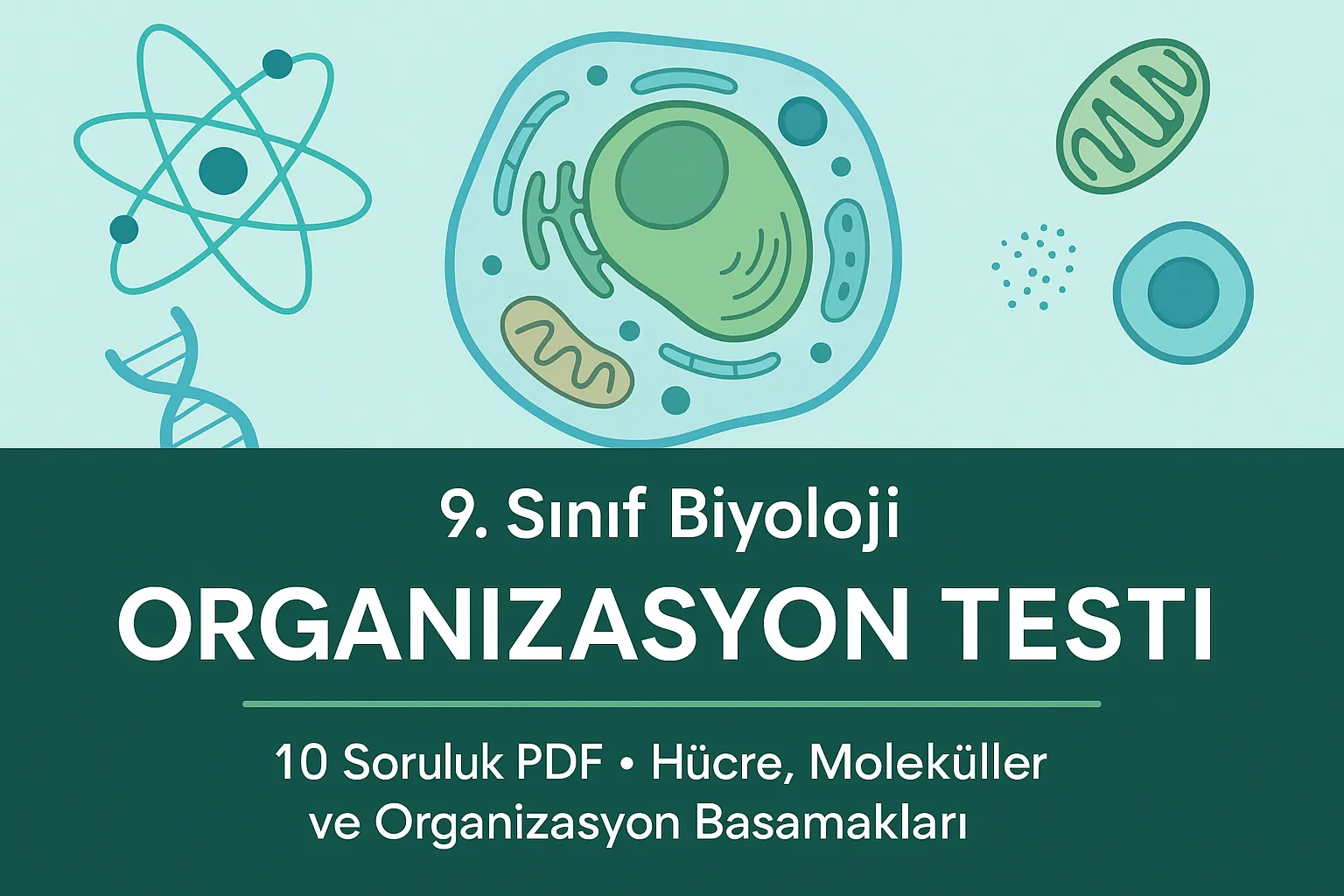 Biyoloji Organizasyon Testi