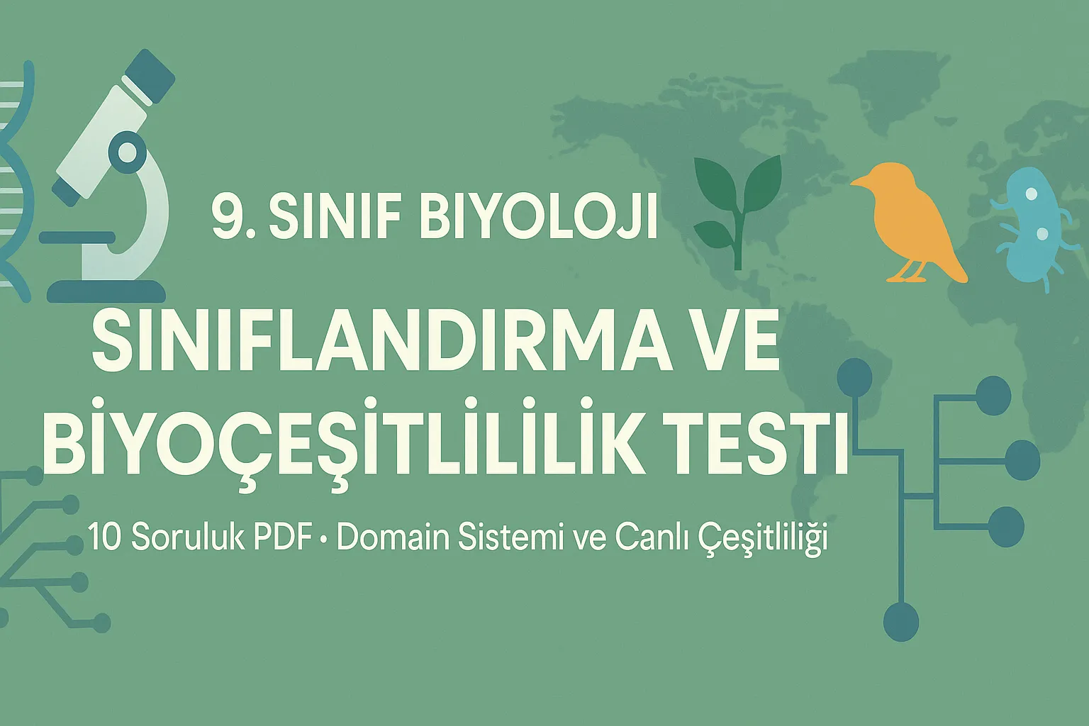 Biyoloji Sınıflandırma ve Biyoçeşitlilik Testi